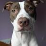 Ivor Judge's profile picture