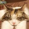 denirako9's profile picture
