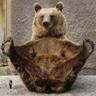 Фото профиля mimami