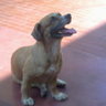 Profilbild von IVAN
