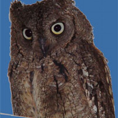 Bob van Keulen's profile picture