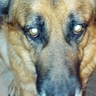 R. K. H's profile picture