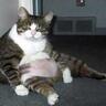 Profilbild von Ricardo