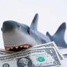 blueplasticshark's profile picture