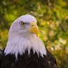 John Tamietti profil fotoğrafı