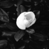 Фото профиля Marianne