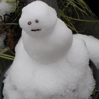 com04's profile picture