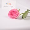 أم مهند profil fotoğrafı
