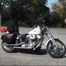 Softail's profile picture
