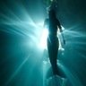 Fundación Caribe Sur's profile picture
