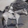 Profilbild von Louisa Turner