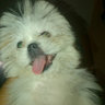 CTM's profile picture