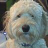 Chas is Nomar profil fotoฤrafฤฑ