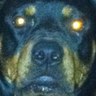 Profilbild von J.