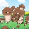 Profilbild von たまふわりすと