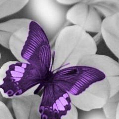 Azzaalmahmod's profile picture