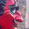 Profilbild von Guillem