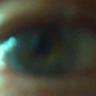 Clin d'oeil 的头像