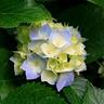 Фото профиля Mop63