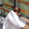 R. Eduardo's profile picture