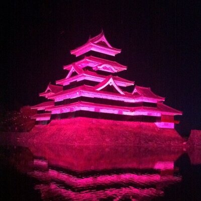 marumaru_dori's profile picture