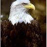 AllanH's profile picture