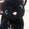 R.Suzuki's profile picture