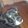 don carey's profile picture