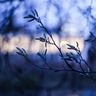 Фото профиля Mohammed R Naser