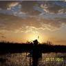 Swamp Buggy's profile picture