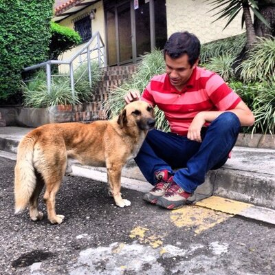 johan zapata's profile picture