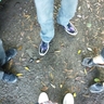 Profilbild von あしたち164