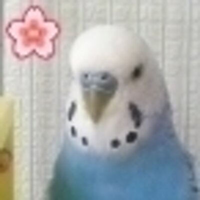 a2ne1234's profile picture