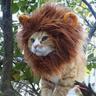 NEWBIE's profile picture