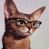 Gill's profile picture