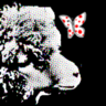 トウヤ profil fotoğrafı