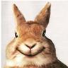 Profilbild von Sidney Azoulay
