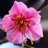 Фото профиля Abdulsalam Ashour