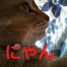Profilbild von MORI-P