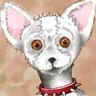 Yonne's profile picture