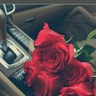 Profilbild von غربـــة بليـــاك