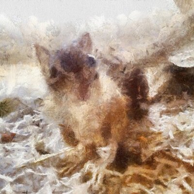 ミニさん's profile picture