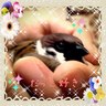 Profilbild von ぴーたん