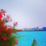 asasqtr's profile picture
