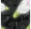 Profilbild von 愛沢ゆうじ