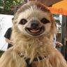 Profilbild von Lu
