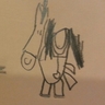 The Sherpa's profile picture