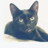 Jeffrey Ruha's profile picture