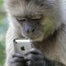 Гордий Макак's profile picture