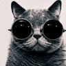 Chico Equisde's profile picture